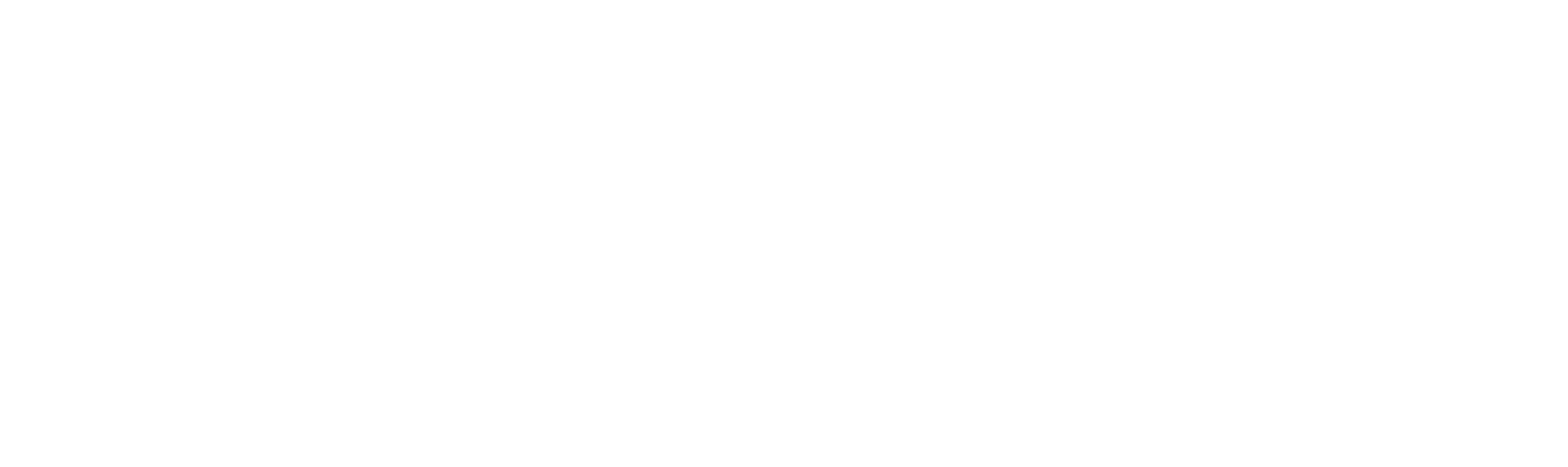Copia de SANY logo blanco-13